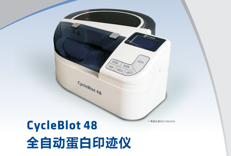 CycleBlot48全自動蛋白印跡儀